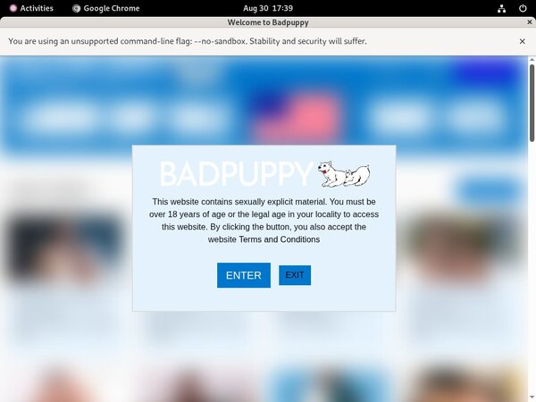 Badpuppy.com Trial Free