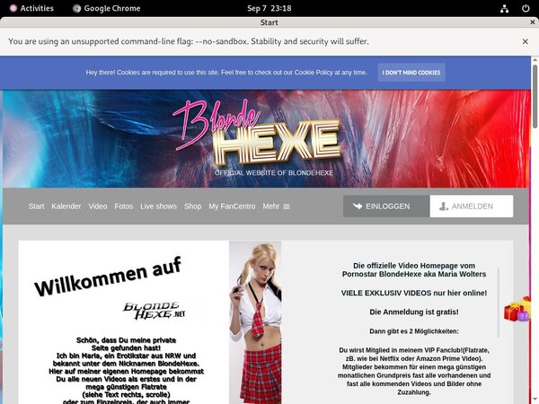 Blondehexe Network Password
