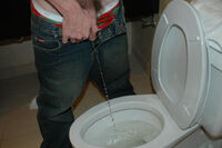 Boys-pissing.com Logins s2 Boys-pissing.com Logins s2