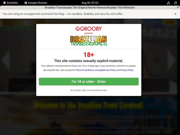 Brazilian Transsexuals Get Password