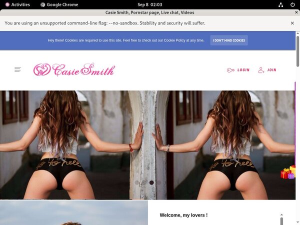 Casiesmith.modelcentro.com Logins 2018