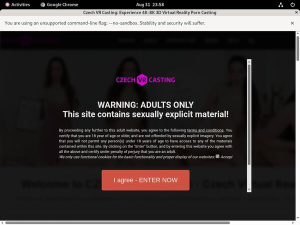 Czech VR Casting Full Website