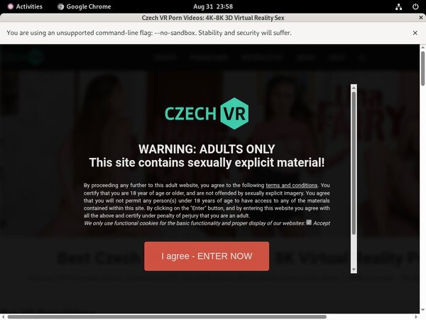 Czech VR Passwords Blog