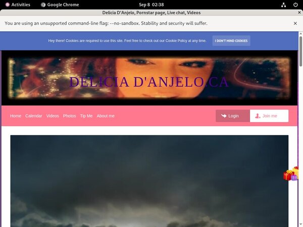 Deliciadanjelo.modelcentro.com Passwords Accounts