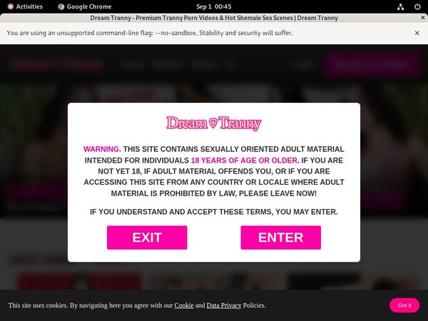 Dreamtranny Free Trial Price