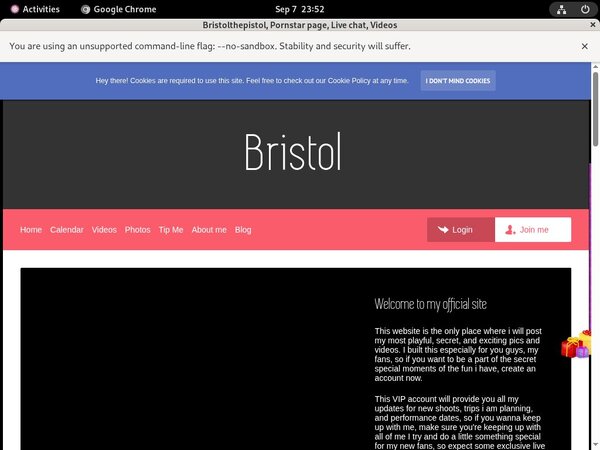 Free Access Bristolthepistol