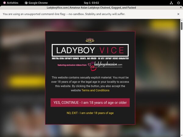 Free Com Ladyboyvice Logins