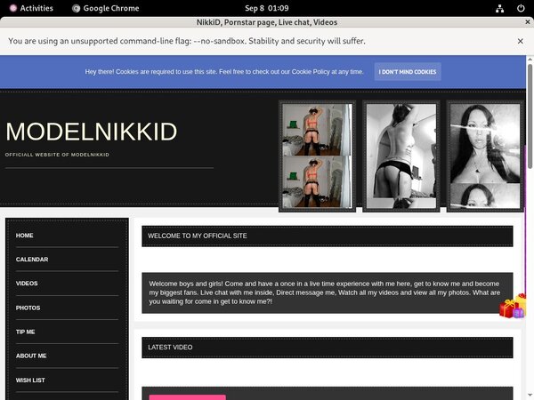 Free ModelNikki Day Trial