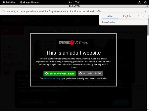 Free Pink O VOD Porn Accounts