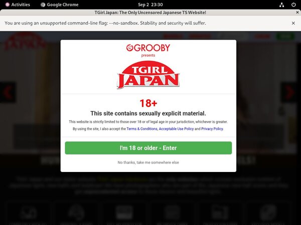 Free TGirl Japan Accounts And Passwords