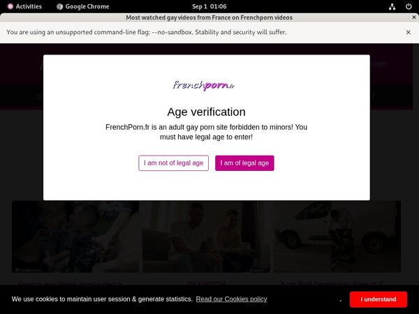 Frenchporn Login Info
