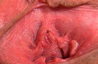 Gape My Pussy Paysite Discounts s1