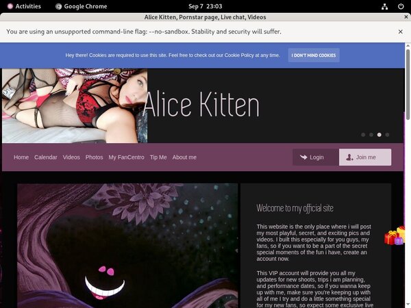 Get Into Alicekitten.modelcentro.com