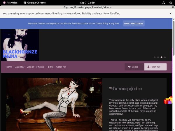 Gigixxxs.modelcentro.com Gay Videos