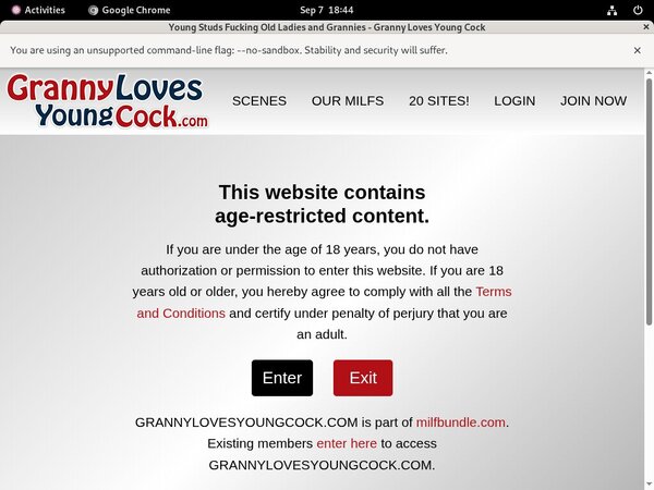 Granny Loves Young Cock Free Trial Link