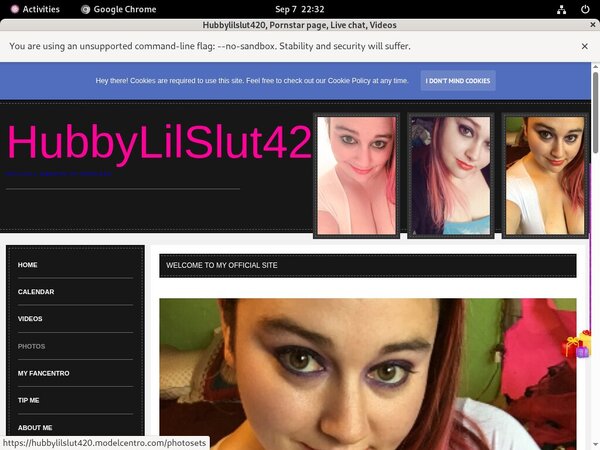 Hubbylilslut420.modelcentro.com Password Hack