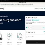 Jane Burgess Idealgasm
