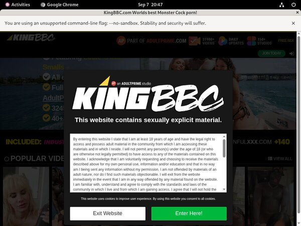 Kingbbc.com Netcash