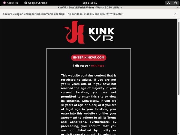 Kink VR Tour
