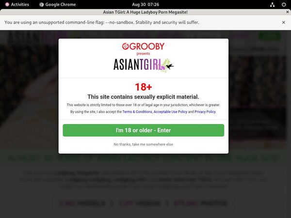 Ladyboyladyboy Free Trailers