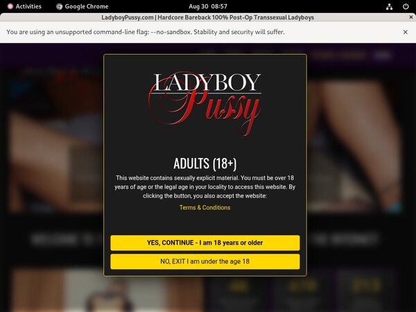 Ladyboypussy Free Login Password