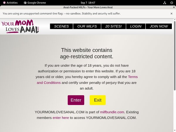 Login For Yourmomlovesanal.com
