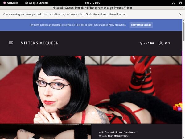 Login To Mittensmcqueen.com Free