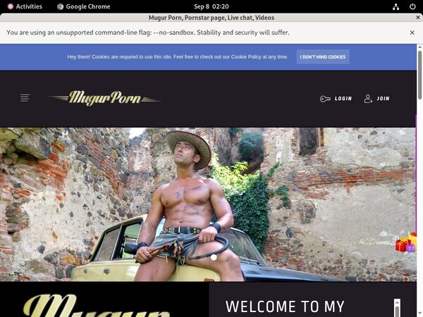 Mugursworld.com Scene