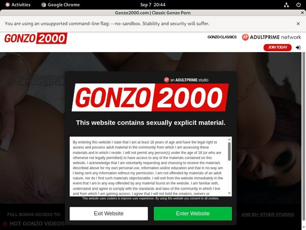 New Gonzo 2000 Discount Promo