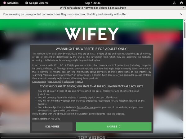 Pass For Wifey