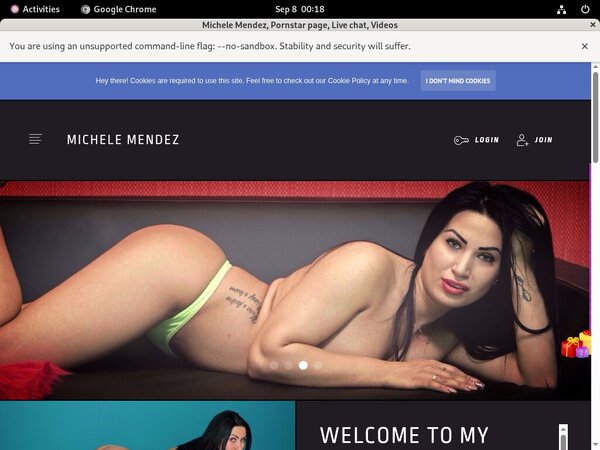 Pass Michelemendez.modelcentro.com