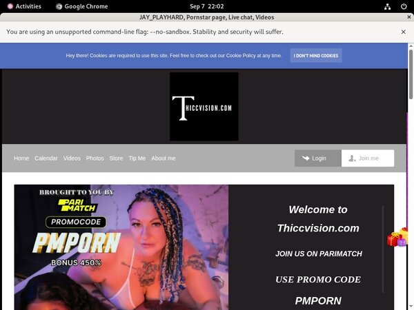 Passwords For Thiccvision.com