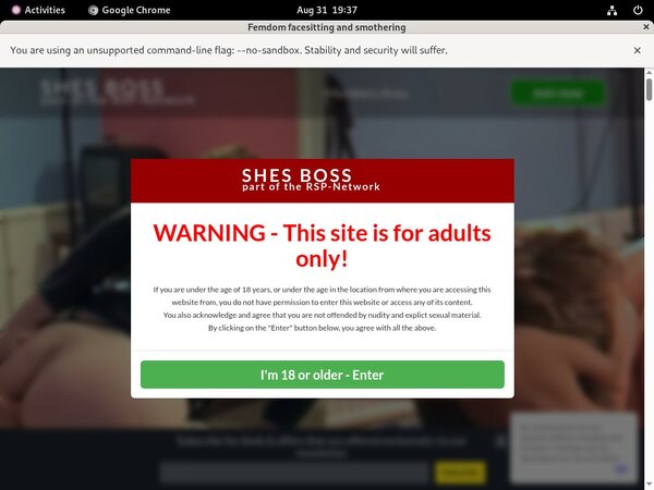 Shesboss Password Generator