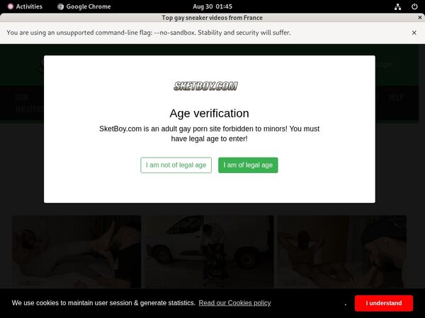 Sketboy.com Free Trial Pass