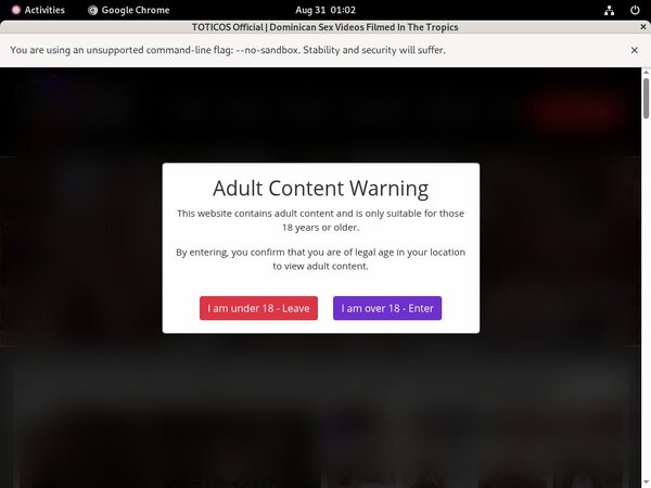 Totico's Mp4