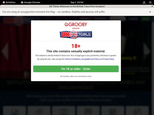 UK TGirls Join By Direct Pay