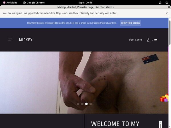 Using Paypal Mickeyelderstud