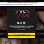 Ladyboy Pussy Porno