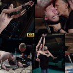 Subspace Land Member Sign Up